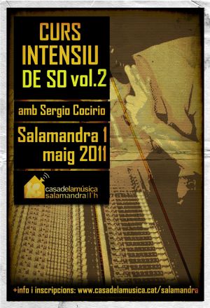 CURS INTENSIU DE SO PER A MÚSICS